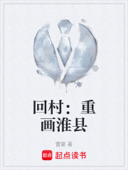 回村：重画淮县在线阅读