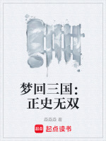 梦回三国：正史无双封面