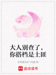 大人别查了，你搭档是土匪