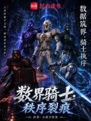 数界骑士：秩序裂痕在线阅读