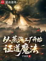 从蒸汽工厂开始证道魔法封面