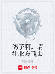 鸽子啊，请往北方飞去在线阅读