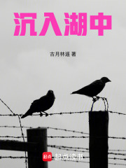 沉入湖中在线阅读