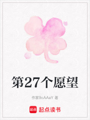第27个愿望在线阅读