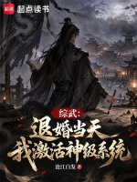 综武：退婚当天，我激活神级系统封面