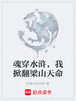 魂穿水浒，我掀翻梁山天命封面