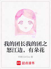 我的团长我的团之怒江边，有朵花在线阅读