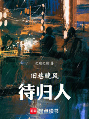 旧巷晚风待归人在线阅读