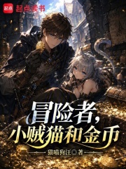 冒险者，小贼猫和金币在线阅读