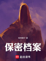 保密档案在线阅读