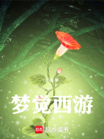梦觉西游封面