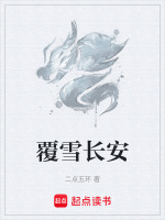 覆雪长安封面