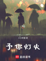 予你灯火在线阅读