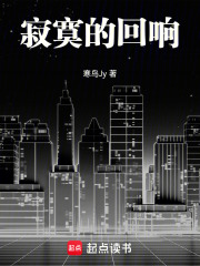 寂寞的回响在线阅读