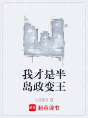 我才是半岛政变王在线阅读