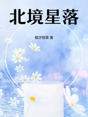 北境星落在线阅读