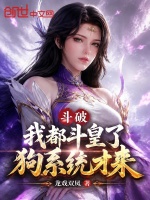 斗破：我都斗皇了，狗系统才来！封面