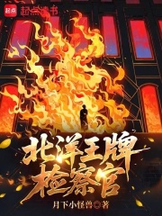 北洋王牌检察官在线阅读