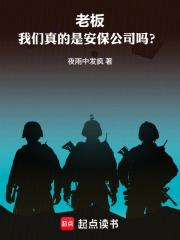 老板，我们真的是安保公司吗？在线阅读