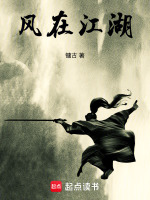 风在江湖封面