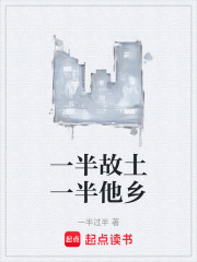 一半故土一半他乡在线阅读