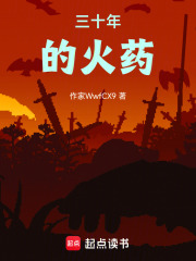 三十年的火药在线阅读