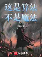 这是算法，不是魔法封面