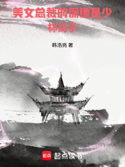 美女总裁的保镖是少林高手在线阅读