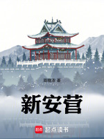 新安营封面