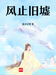 风止旧墟在线阅读