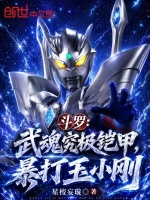 斗罗：武魂究极铠甲，暴打玉小刚封面