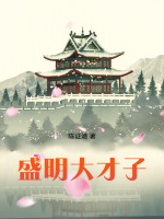 盛明大才子封面