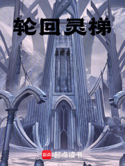 轮回灵梯在线阅读