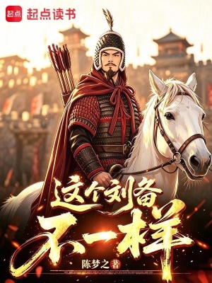 这个刘备不一样封面