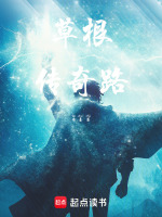 草根传奇路封面