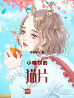 小喵饼的猫片最新章节在线阅读
