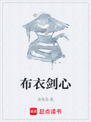 布衣剑心在线阅读