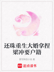 还珠重生大婚拿捏梁冲要户籍在线阅读