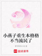 小燕子重生本格格不当流民了在线阅读
