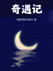 奇遇记在线阅读