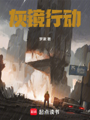 灰镜行动在线阅读