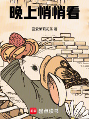 晚上悄悄看在线阅读