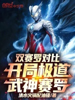 双赛罗对比，开局极道武神赛罗封面