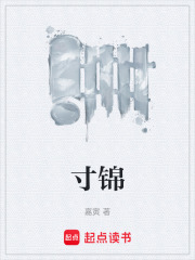 寸锦在线阅读