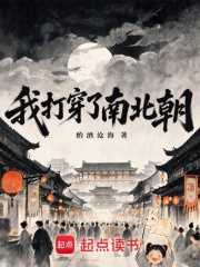 我打穿了南北朝在线阅读
