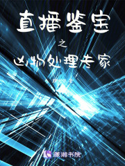 直播鉴宝之凶物处理专家在线阅读