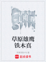草原雄鹰铁木真封面