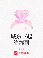 城东下起绵绵雨在线阅读
