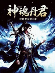 神魂丹君在线阅读