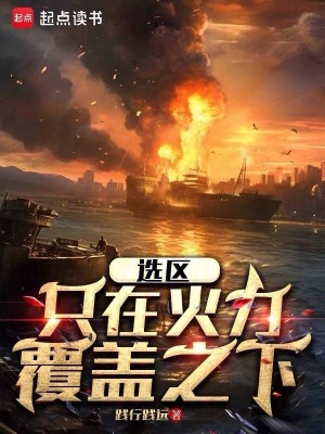 选区只在火力覆盖之下封面